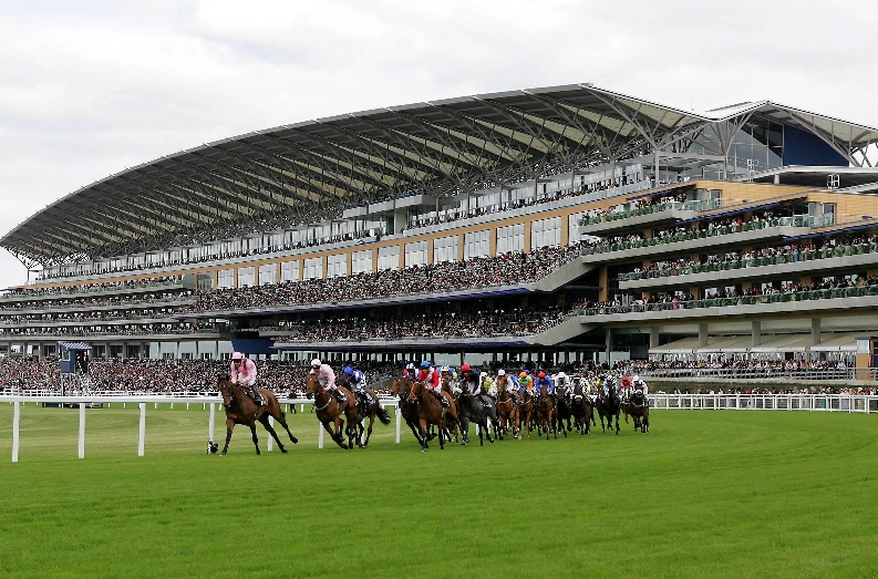 Horse Racing - Royal Ascot  - Ascot  - 20/6/06 The field in the Ascot Stakes passes in front of the grandstand  Mandatory Credit: Action Images / Keith Williams Livepic